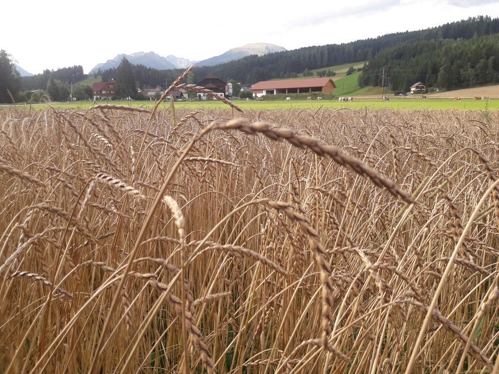 Willa Bio Bauernhof Schoberhof Sankt Andrä im Lungau Zewnętrze zdjęcie