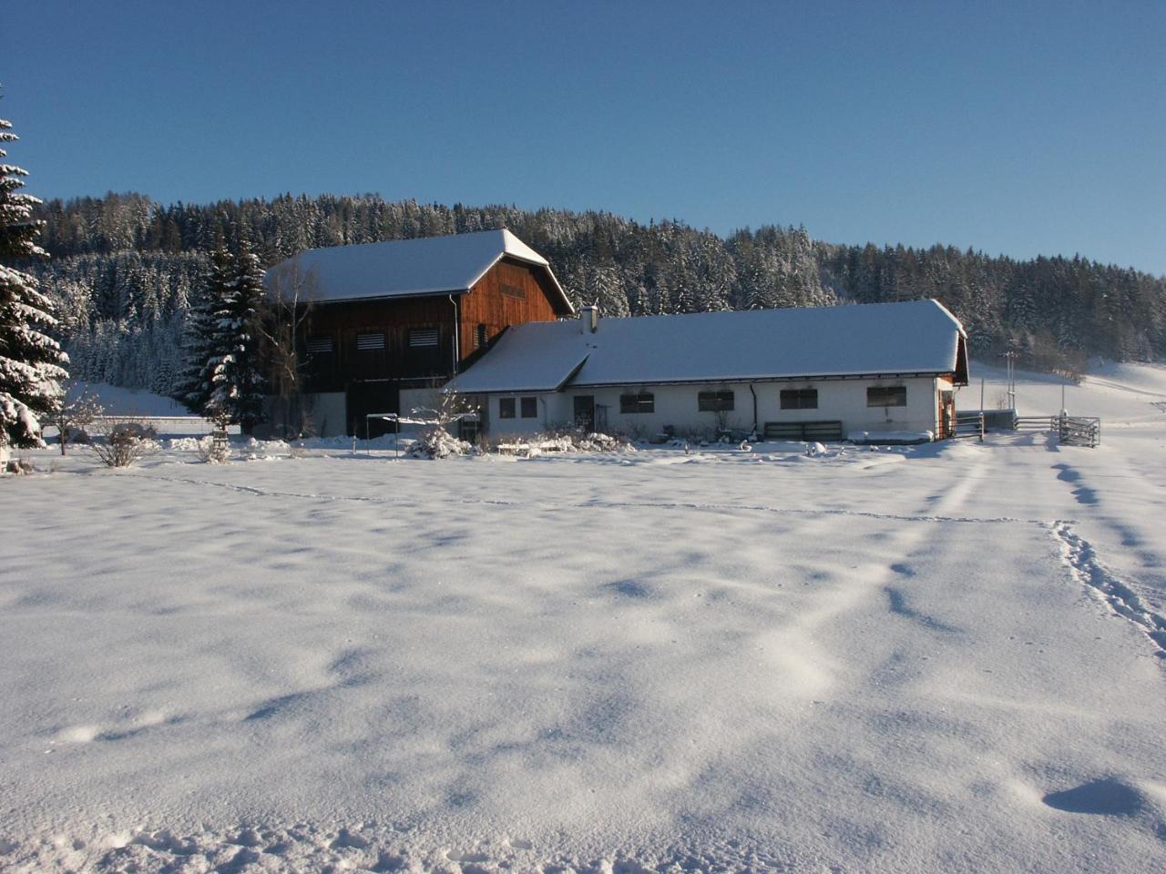 Willa Bio Bauernhof Schoberhof Sankt Andrä im Lungau Zewnętrze zdjęcie